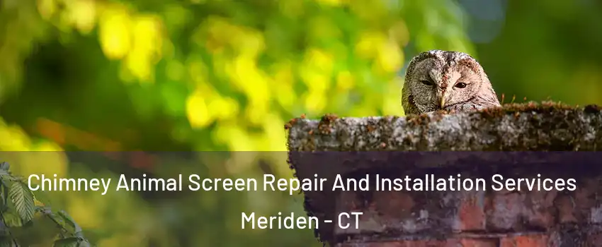  Chimney Animal Screen Repair And Installation Services Meriden - CT